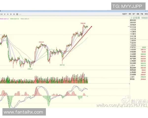 深入分析上海滑板队的防守策略与战术特点