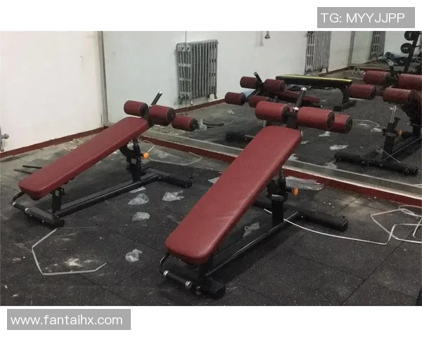 全面解析健身器材的种类选择与使用技巧，助力打造理想身形